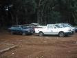 Ferroeste realiza leilão de
carros em Guarapuava


